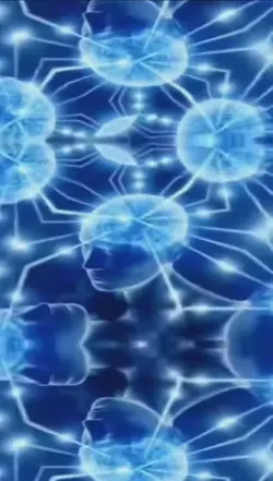 Brain