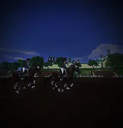 Star stable 🤪❤️