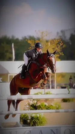 this horse omg 😻