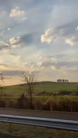 Paisagem relaxante 
