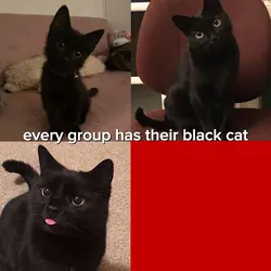 every group has….