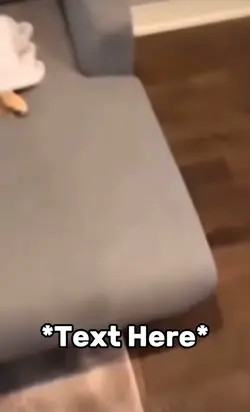 Lazy dog meme 