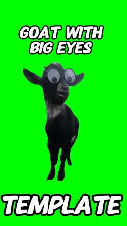Goat with glasses 