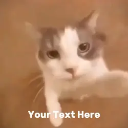 Cute Cat Template