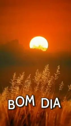 BOM DIA 