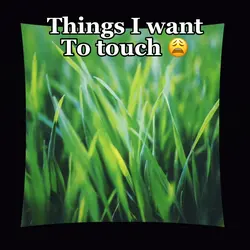 Touch grass