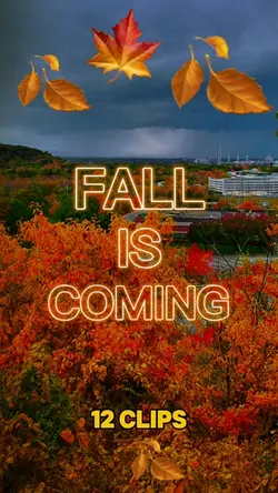 Fall is Coming 🍁🍂