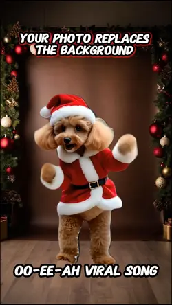 Dancing Santa Dog
