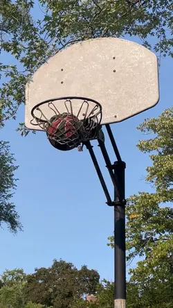 Perfect loop?
