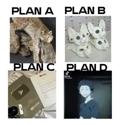 Plans
