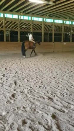 BAREBACK