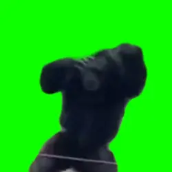 Crazy Monkey