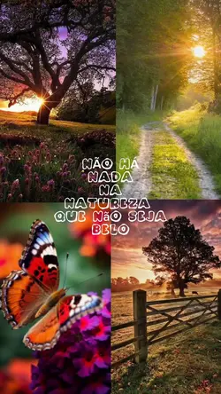 Natureza 