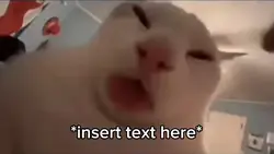 Cat Licking 