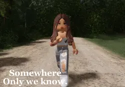 I made this a while