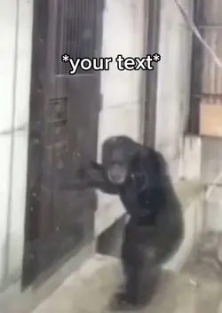 Monkey wanting out
