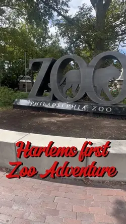 My Visit to the Zoo 