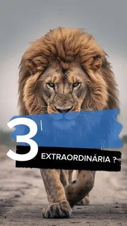 3 dicas  para a vida