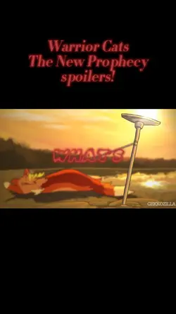 Warr Cats