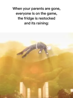 life’s perfec