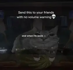Loud song meme