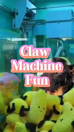 Claw machine fun