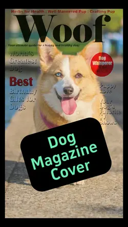 Dog Magazine