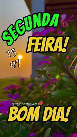 Segunda 15 de julho 