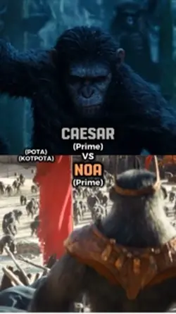 Caesar Vs Noa