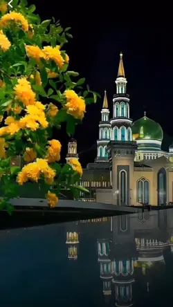 الإسلام هو الحب❤️