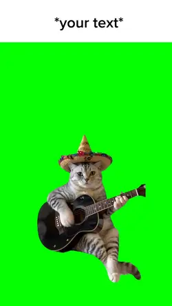 Mexican cat