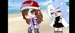 :3