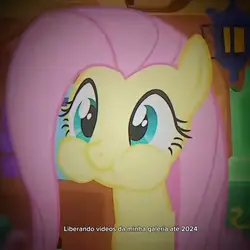 Fluttershy 
