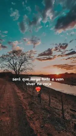 proposta 