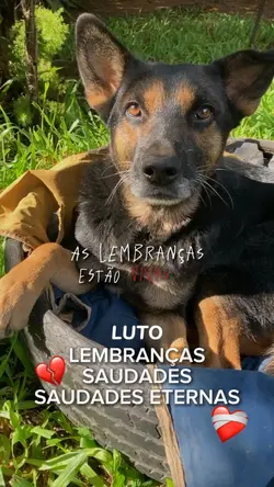 LUTO SAUDADES
