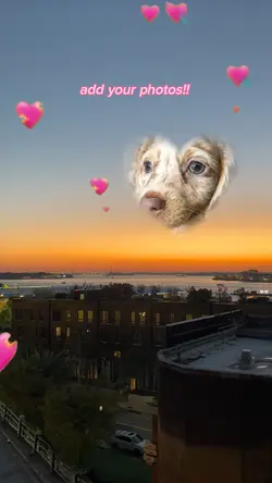 Heart Meme 