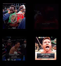 Boxing pros