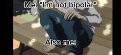 I'm not bipolar... 