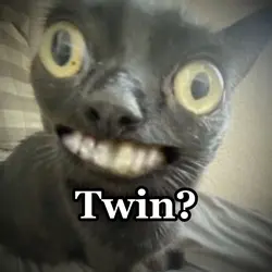 Creepy cat