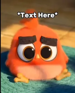 Angry birds meme 