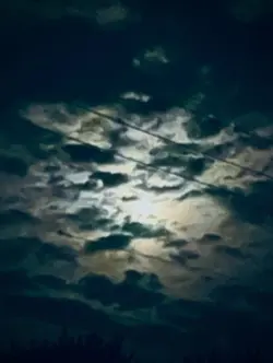 Love ya to the moon 