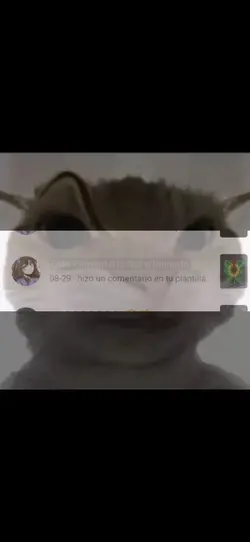 eee? que paso? 