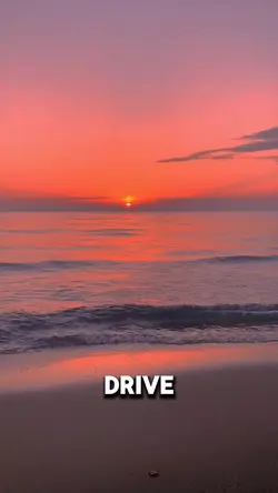 Drive = Success ‼️