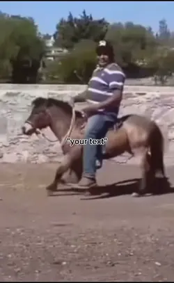 horse meme
