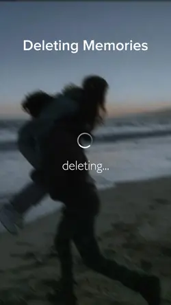 Deleting Memories