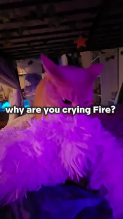 why are you crying