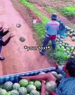 Teamwork 