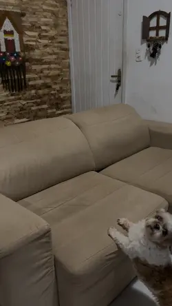 Transformação 