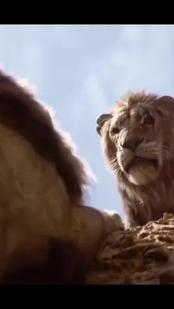 mufasa + taka free 