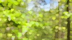 Relax nature ASMR 86